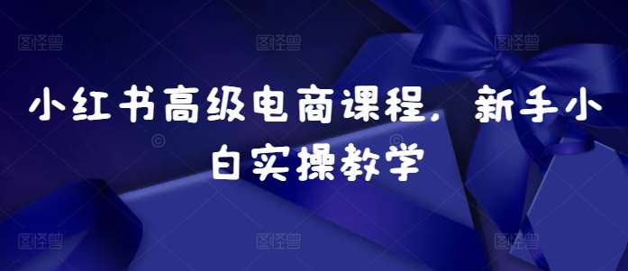 小红书高级电商课程，新手小白实操教学网创吧-网创项目资源站-副业项目-创业项目-搞钱项目网创吧