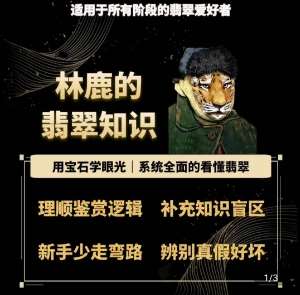 林鹿的翡翠知识，​用宝石眼光，系统全面的看懂翡翠网创吧-网创项目资源站-副业项目-创业项目-搞钱项目网创吧