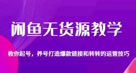 闲鱼无货源教学，教你起号，养号打造爆款链接以及转转的运营技巧网创吧-网创项目资源站-副业项目-创业项目-搞钱项目网创吧