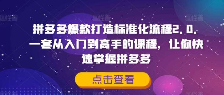 拼多多爆款打造标准化流程2.0，一套从入门到高手的课程，让你快速掌握拼多多网创吧-网创项目资源站-副业项目-创业项目-搞钱项目网创吧