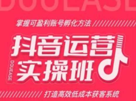 抖音运营实操班，掌握可盈利账号孵化方法，打造高效低成本获客系统网创吧-网创项目资源站-副业项目-创业项目-搞钱项目网创吧