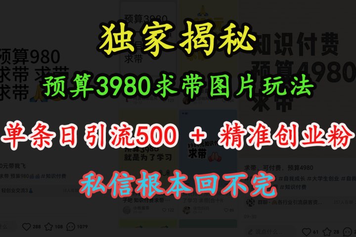 “小红书”预算3980求带 图片玩法，单条日引流500+精准创业粉，私信根本回不完网创吧-网创项目资源站-副业项目-创业项目-搞钱项目网创吧