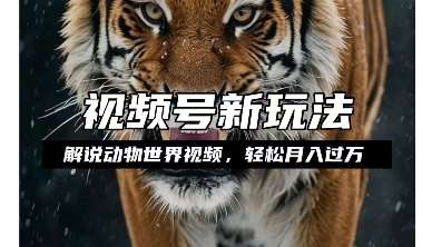 利用动物世界解说视频,赚分成计划收益,轻松月入过W,操作简单【揭秘】网创吧-网创项目资源站-副业项目-创业项目-搞钱项目网创吧