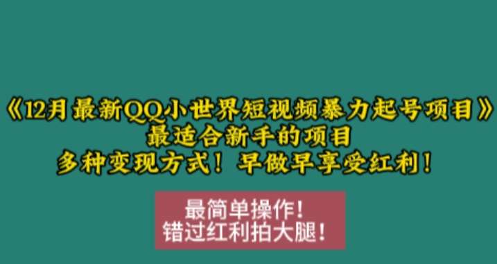 12月最新QQ小世界短视频暴力起号项目,最适合新手的项目,多种变现方式网创吧-网创项目资源站-副业项目-创业项目-搞钱项目网创吧