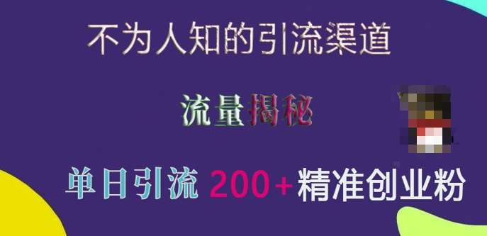 不为人知的引流渠道，流量揭秘，实测单日引流200+精准创业粉【揭秘】网创吧-网创项目资源站-副业项目-创业项目-搞钱项目网创吧