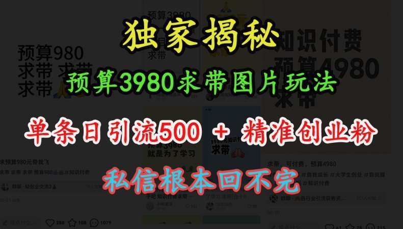 预算3980求带 图片玩法，单条日引流500+精准创业粉，私信根本回不完网创吧-网创项目资源站-副业项目-创业项目-搞钱项目网创吧
