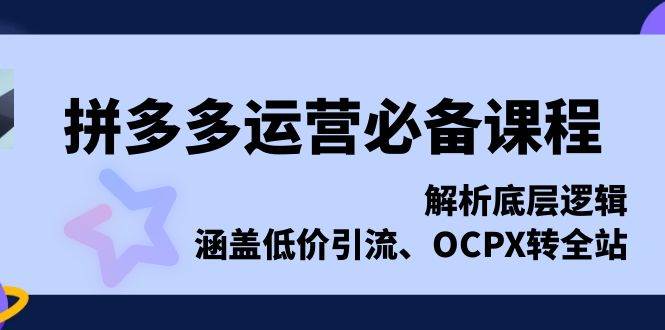 （13700期）拼多多运营必备课程，解析底层逻辑，涵盖低价引流、OCPX转全站网创吧-网创项目资源站-副业项目-创业项目-搞钱项目网创吧