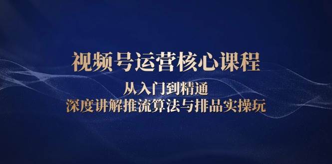 视频号运营核心课程，从入门到精通，深度讲解推流算法与排品实操玩网创吧-网创项目资源站-副业项目-创业项目-搞钱项目网创吧