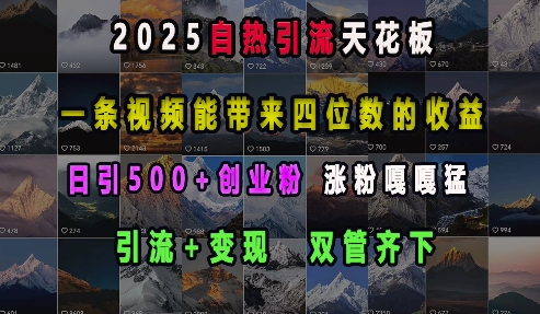 2025自热引流天花板，一条视频能带来四位数的收益，引流+变现双管齐下，日引500+创业粉，涨粉嘎嘎猛网创吧-网创项目资源站-副业项目-创业项目-搞钱项目网创吧