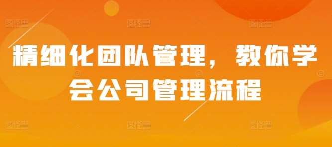 精细化团队管理，教你学会公司管理流程网创吧-网创项目资源站-副业项目-创业项目-搞钱项目网创吧