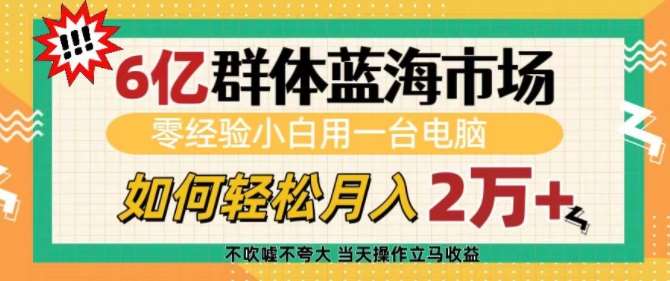 6亿群体蓝海市场，零经验小白用一台电脑，如何轻松月入过w【揭秘】网创吧-网创项目资源站-副业项目-创业项目-搞钱项目网创吧