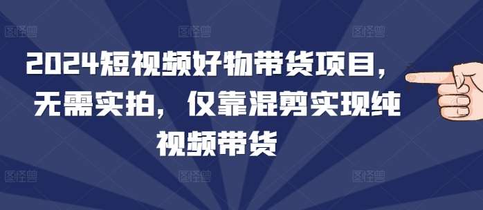 2024短视频好物带货项目，无需实拍，仅靠混剪实现纯视频带货网创吧-网创项目资源站-副业项目-创业项目-搞钱项目网创吧