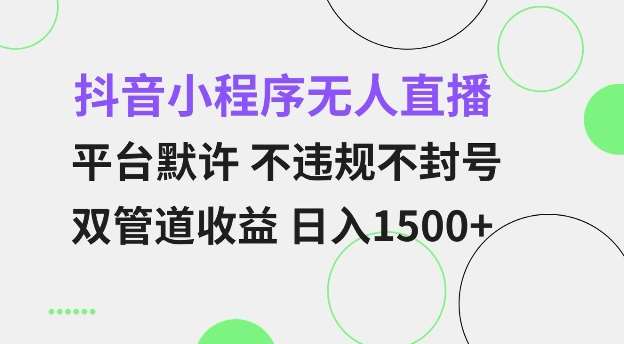 抖音小程序无人直播 平台默许 不违规不封号 双管道收益 日入多张 小白也能轻松操作【仅揭秘】网创吧-网创项目资源站-副业项目-创业项目-搞钱项目网创吧