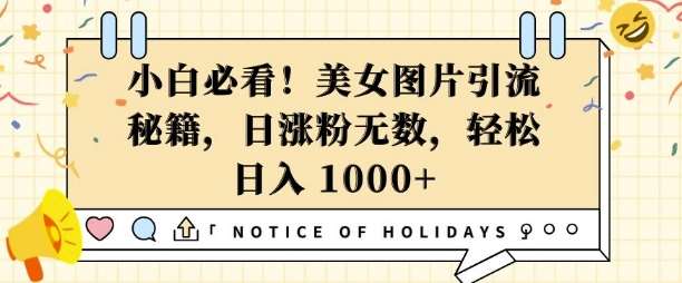 小白必看，美女图片引流秘籍，日涨粉无数，轻松日入几张【揭秘】网创吧-网创项目资源站-副业项目-创业项目-搞钱项目网创吧