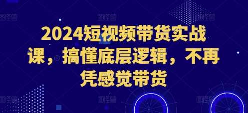 2024短视频带货实战课，搞懂底层逻辑，不再凭感觉带货网创吧-网创项目资源站-副业项目-创业项目-搞钱项目网创吧
