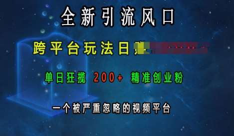全新引流风口，跨平台玩法日入上k，单日狂揽200+精准创业粉，一个被严重忽略的视频平台网创吧-网创项目资源站-副业项目-创业项目-搞钱项目网创吧