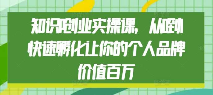 知识IP创业实操课，从0到1快速孵化让你的个人品牌价值百万网创吧-网创项目资源站-副业项目-创业项目-搞钱项目网创吧