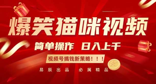 爆笑猫咪视频：简单操作，日入过K，视频号搞钱新策略【揭秘】网创吧-网创项目资源站-副业项目-创业项目-搞钱项目网创吧