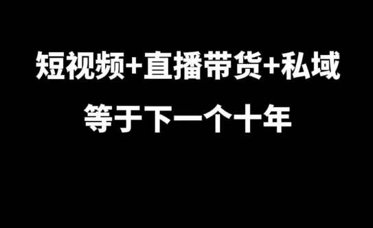 短视频+直播带货+私域等于下一个十年，大佬7年实战经验总结网创吧-网创项目资源站-副业项目-创业项目-搞钱项目网创吧