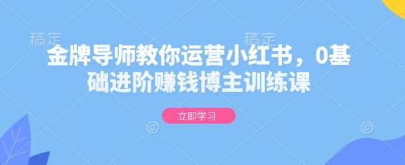 金牌导师教你运营小红书，0基础进阶赚钱博主训练课网创吧-网创项目资源站-副业项目-创业项目-搞钱项目网创吧