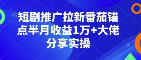 短剧推广拉新番茄锚点半月收益1万+大佬分享实操网创吧-网创项目资源站-副业项目-创业项目-搞钱项目网创吧