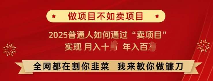 必看!做项目不如卖项目，2025普通人如何通过“卖项目”实现月入十个，年入百个【揭秘】网创吧-网创项目资源站-副业项目-创业项目-搞钱项目网创吧