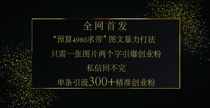 小红书，“预算 4980 带我飞” 的神奇图片引流法，堪称涨粉核武器！只需一张图，就能单条笔记凭借此方法，轻松引流 300 + 精准创业粉！网创吧-网创项目资源站-副业项目-创业项目-搞钱项目网创吧