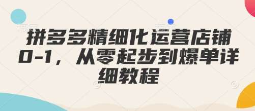 拼多多精细化运营店铺0-1，从零起步到爆单详细教程网创吧-网创项目资源站-副业项目-创业项目-搞钱项目网创吧