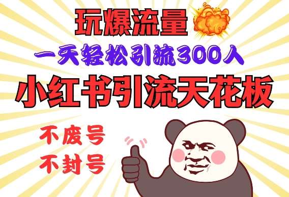 小红书引流天花板，玩爆流量，一天轻松引流300人，安全操作网创吧-网创项目资源站-副业项目-创业项目-搞钱项目网创吧