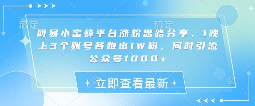 网易小蜜蜂平台涨粉思路分享，1晚上3个账号各跑出1W粉，同时引流公众号1000+网创吧-网创项目资源站-副业项目-创业项目-搞钱项目网创吧