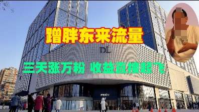 蹭胖东来流量，三天涨万粉，收益直接起飞网创吧-网创项目资源站-副业项目-创业项目-搞钱项目网创吧