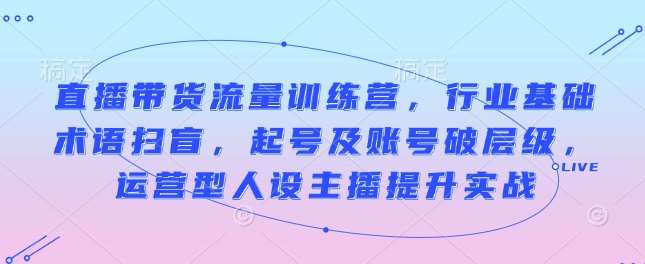 直播带货流量训练营，行业基础术语扫盲，起号及账号破层级，运营型人设主播提升实战网创吧-网创项目资源站-副业项目-创业项目-搞钱项目网创吧