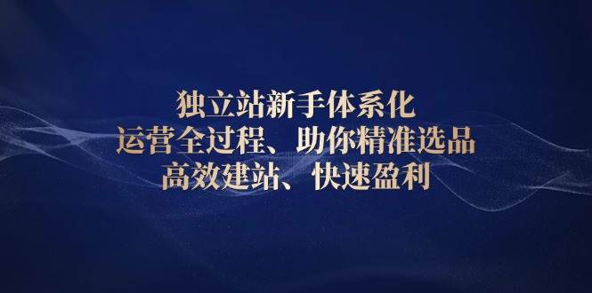 （13914期）独立站新手体系化 运营全过程，助你精准选品、高效建站、快速盈利网创吧-网创项目资源站-副业项目-创业项目-搞钱项目网创吧