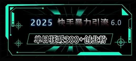 2025年快手6.0保姆级教程震撼来袭，单日狂吸300+精准创业粉网创吧-网创项目资源站-副业项目-创业项目-搞钱项目网创吧