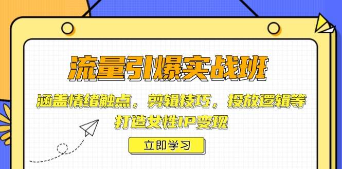 （14008期）流量引爆实战班，涵盖情绪触点，剪辑技巧，投放逻辑等，打造女性IP变现网创吧-网创项目资源站-副业项目-创业项目-搞钱项目网创吧