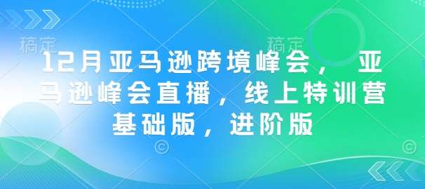 12月亚马逊跨境峰会， 亚马逊峰会直播，线上特训营基础版，进阶版网创吧-网创项目资源站-副业项目-创业项目-搞钱项目网创吧