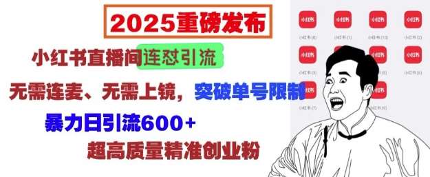 2025重磅发布：小红书直播间连怼引流，无需连麦、无需上镜，突破单号限制，暴力日引流600+网创吧-网创项目资源站-副业项目-创业项目-搞钱项目网创吧