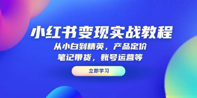 小红书变现实战教程：从小白到精英，产品定价，笔记带货，账号运营等网创吧-网创项目资源站-副业项目-创业项目-搞钱项目网创吧