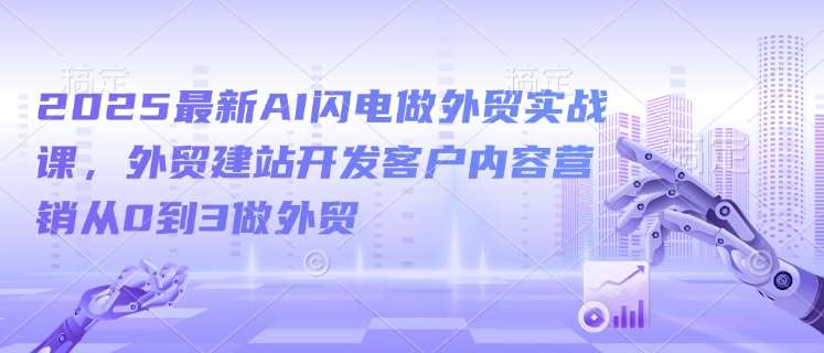 2025最新AI闪电做外贸实战课，外贸建站开发客户内容营销从0到3做外贸网创吧-网创项目资源站-副业项目-创业项目-搞钱项目网创吧