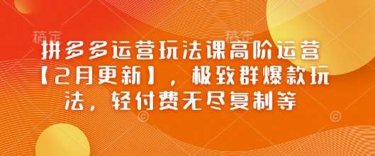 拼多多运营玩法课高阶运营【2月更新】，极致群爆款玩法，轻付费无尽复制等网创吧-网创项目资源站-副业项目-创业项目-搞钱项目网创吧