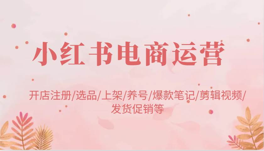 小红书电商运营：开店注册/选品/上架/养号/爆款笔记/剪辑视频/发货促销等网创吧-网创项目资源站-副业项目-创业项目-搞钱项目网创吧