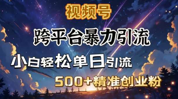 跨平台暴力引流，私域完美闭环，日引500+精准创业粉网创吧-网创项目资源站-副业项目-创业项目-搞钱项目网创吧