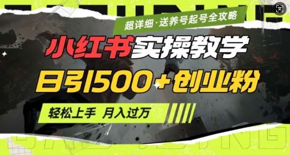 2月小红书最新日引500+创业粉实操教学【超详细】小白轻松上手，月入1W+，附小红书养号起号SOP网创吧-网创项目资源站-副业项目-创业项目-搞钱项目网创吧