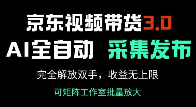 京东视频带货3.0，Ai全自动采集+自动发布，完全解放双手，收入无上限网创吧-网创项目资源站-副业项目-创业项目-搞钱项目网创吧