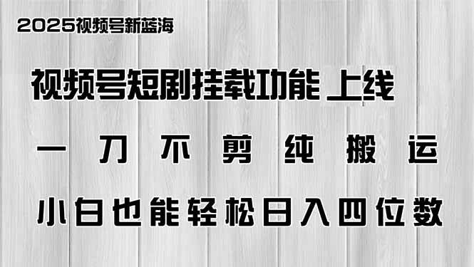 （14310期）视频号短剧挂载功能上线，一刀不剪纯搬运，小白也能轻松日入四位数网创吧-网创项目资源站-副业项目-创业项目-搞钱项目网创吧
