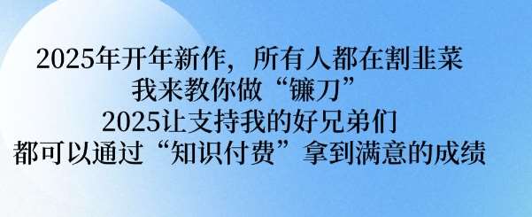 2025年开年新作，所有人都在割韭菜，我来教你做“镰刀” 2025让支持我的好兄弟们都可以通过“知识付费”拿到满意的成绩【揭秘】网创吧-网创项目资源站-副业项目-创业项目-搞钱项目网创吧