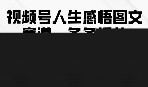 视频号人生感悟图文赛道，条条播放10w+，这个方法做视频号太牛了网创吧-网创项目资源站-副业项目-创业项目-搞钱项目网创吧