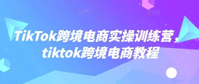 TikTok跨境电商实操训练营，tiktok跨境电商教程网创吧-网创项目资源站-副业项目-创业项目-搞钱项目网创吧