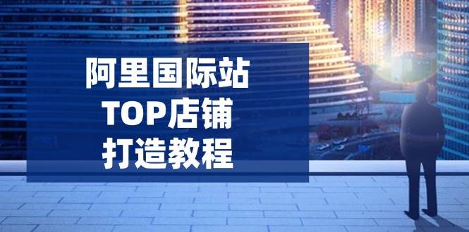 （14269期）阿里国际站TOP店铺打造教程：涵盖平台到高阶，解决运营难题，提升询盘网创吧-网创项目资源站-副业项目-创业项目-搞钱项目网创吧