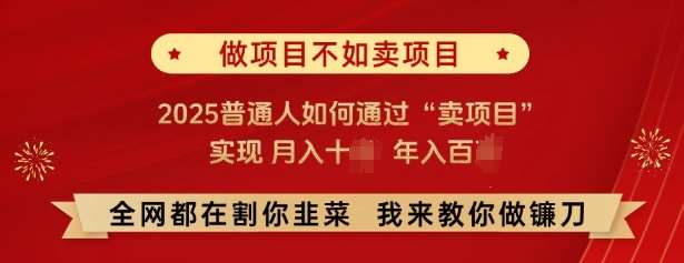 必看，做项目不如卖项目，2025普通人如何通过“卖项目”实现月入十个，年入百个网创吧-网创项目资源站-副业项目-创业项目-搞钱项目网创吧